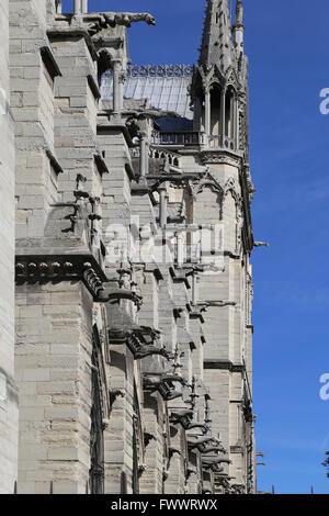 La France. Paris. La façade occidentale de la cathédrale de Notre-Dame. Gothique précoce. 13e siècle. Les gargouilles. Banque D'Images