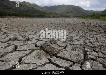 Cebu Philippines,. 8 avril, 2016. Des conditions extrêmement sèches causées par El Niño dans les Philippines ont un effet dramatique sur l'approvisionnement en eau.Un "état de calamité" a été déclarée le 8 avril 2016 par le maire de la ville de Cebu Michael Rama en raison de l'approvisionnement en eau de surface très faible. © gallerie2/Alamy Live News Banque D'Images