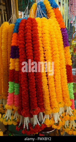 Des fleurs au marché de Chatuchak à Bangkok Banque D'Images