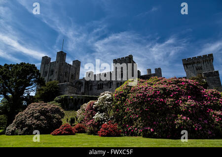 Château de Penrhyn. Banque D'Images