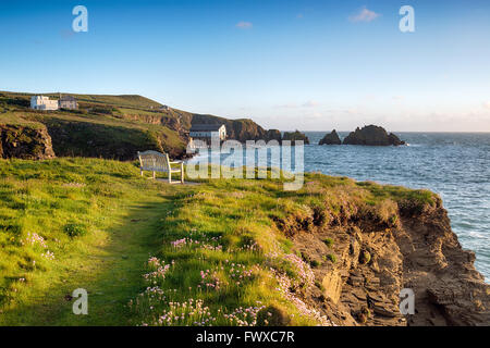 Au début de l'été un matin à Long Cove Padstow sur la côte nord de Cornwall Banque D'Images