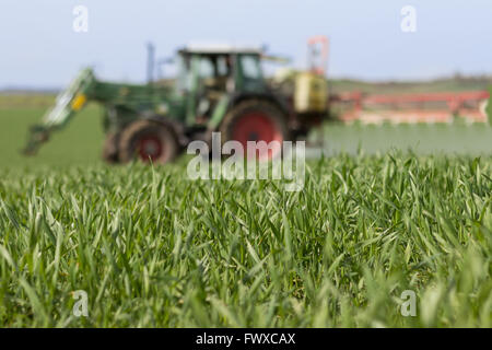 La pulvérisation du tracteur champ vert - agriculture contexte Banque D'Images