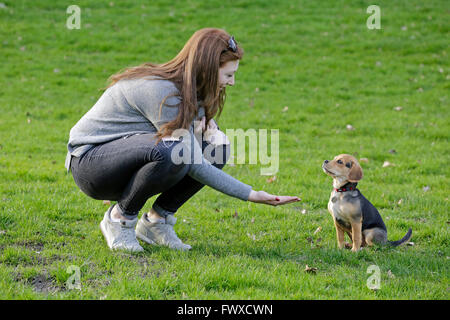 Jeune femme avec son petit chien Banque D'Images