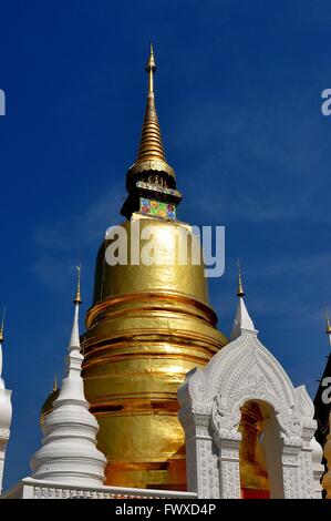 Chiang Mai, Thaïlande : Le grand chedi doré construit au 14ème siècle est entouré de petits chedis blancs à Wat Suan Dok Banque D'Images