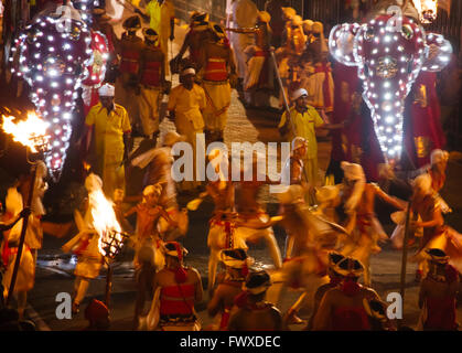 Danseurs et éléphant dans la procession à Kandy Esala Perahera, Kandy, Sri Lanka Banque D'Images