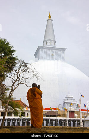 Un moine en prière à Ruwanwelisaya Dagoba, Anuradhapura (site du patrimoine mondial de l'UNESCO), Sri Lanka Banque D'Images