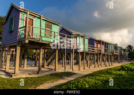 Les maisons en bois sur pilotis à Caye Caulker, Belize Banque D'Images