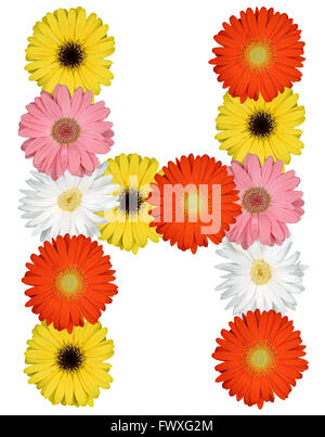 Lettre H Alphabet de fleurs isolé sur fond blanc Banque D'Images