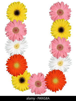 Lettre U Alphabet de fleurs isolé sur fond blanc Banque D'Images