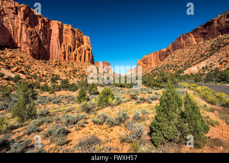 Plus de falaises de grès Burr Trail Road à long Canyon, Grand Staircase-Escalante National Monument, Utah, USA Banque D'Images