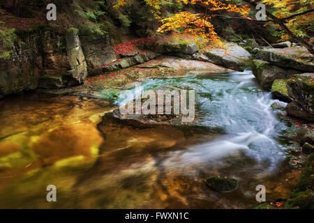 Petit ruisseau dans un paysage rocheux de la forêt de montagne Banque D'Images