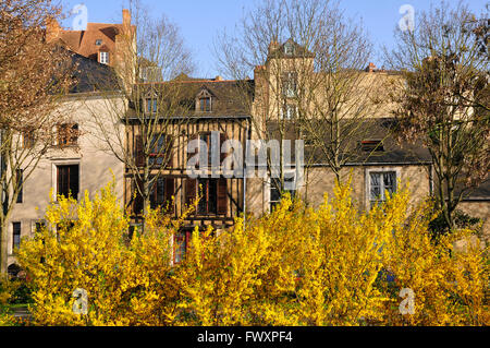 Maisons typiques et de forsythias fleurissent en premier plan au Mans de la région Pays de la Loire dans le nord-ouest de la France Banque D'Images