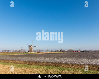 Paysage de polders avec deux moulins à vent près de Zevenhuizen dans la province de Hollande du Sud, Pays-Bas Banque D'Images