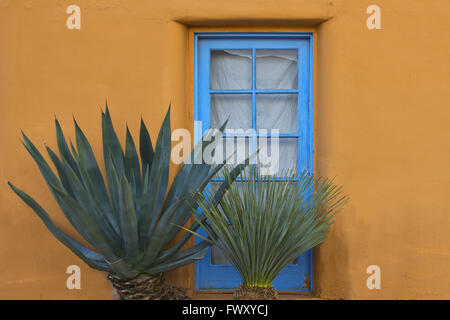 Adobe rustique porte avec Cactus en Arizona Banque D'Images