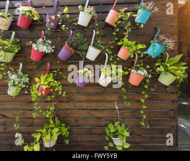Pots de fleurs suspendus avec fence Banque D'Images