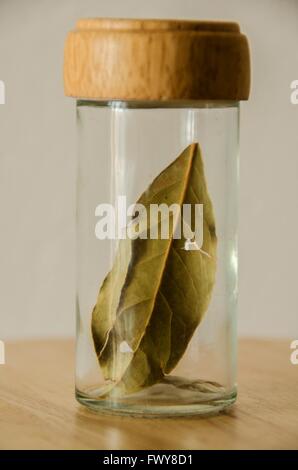 Feuille d'épices dans le bocal en verre sur la table en bois isolé sur fond blanc. Banque D'Images