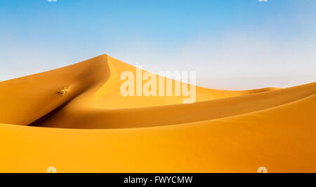 Les dunes du Sahara, le Maroc Erg Chigaga Banque D'Images