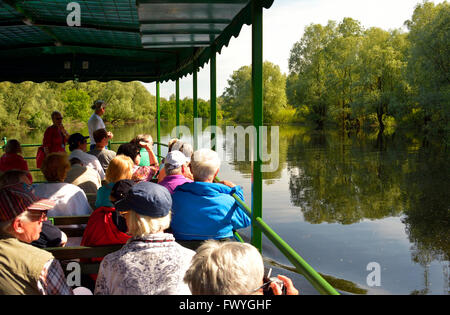 Les touristes dans un bateau d'excursion sur la rivière dans des milieux humides, Kopacki Rit nature park, Osijek, Croatie Banque D'Images