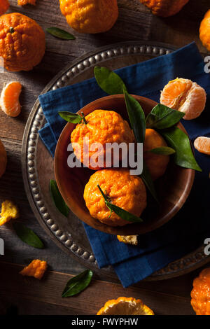 Pépite d'organiques Matières premières Mandarines prêt à manger Banque D'Images