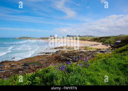 La plage de Fistral Newquay Cornwall du Royaume-Uni au printemps populaire pour le surf au Royaume-Uni Banque D'Images