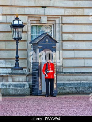 Londres, ANGLETERRE - 30 avril 2011 : Reine à son poste de garde au Palais de Buckingham à Londres en Angleterre. La vie de la Garde côtière canadienne est un soldat de cavalerie et d'infanterie qui garde résidences royales de l'UK. Banque D'Images