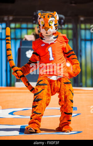 Le Clemson Tiger Mascot pendant le Clemson Football jeu de printemps (Orange et Blanc) Jeu le samedi 9 avril 2016 au Memorial Stadium, à Clemson, SC. Jacob Kupferman/CSM Banque D'Images