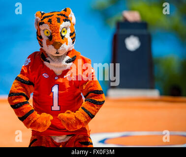 Le Clemson Tiger Mascot pendant le Clemson Football jeu de printemps (Orange et Blanc) Jeu le samedi 9 avril 2016 au Memorial Stadium, à Clemson, SC. Jacob Kupferman/CSM Banque D'Images