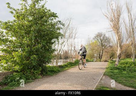 Un cycliste féminine au soleil sur le chemin de halage le long de la Tamise dans le sud ouest de Londres, Royaume-Uni Banque D'Images