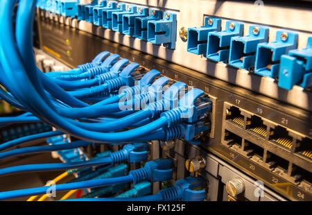 Les câbles réseau et le moyeu libre avec arrière-plan de fibres optiques Banque D'Images