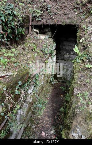 Les vestiges d'une tranchée allemande sur la Butte de Vauquois, Meuse, France. Banque D'Images