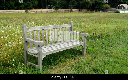 Banc en bois dans un champ Banque D'Images