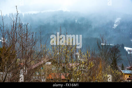 Pente de montagne boisée dans la brume Banque D'Images