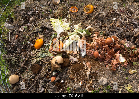 Compost de jardin dans un panier constitué à partir de la nourriture et des déchets de jardin Banque D'Images