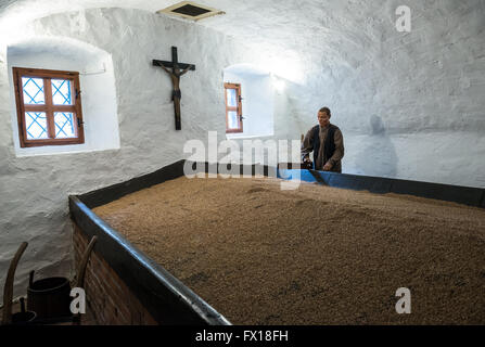 Processus de maltage en musée de la brasserie à Plzen (Pilsen) ville, République Tchèque Banque D'Images