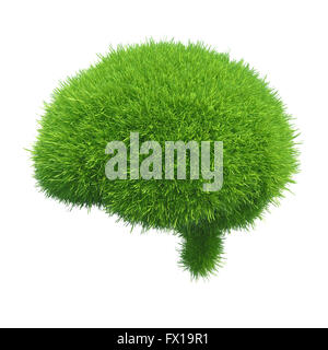 Cerveau humain est couverte d'herbe verte isolée sur fond blanc Banque D'Images