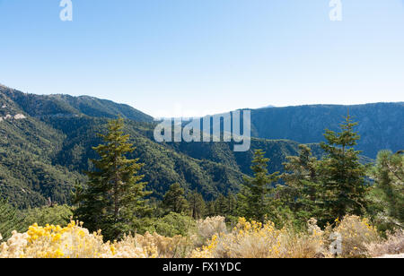 Forêt Nationale de San Bernardino en Californie USA Banque D'Images