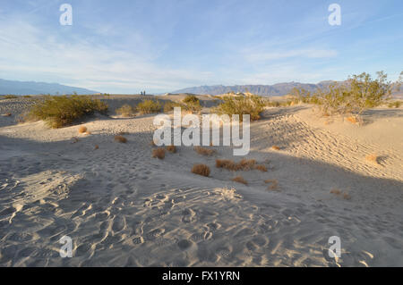 Dunes de sable dans la Death Valley, Californie, États-Unis Banque D'Images
