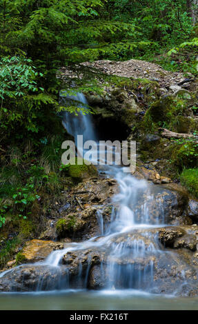 Geotope Eistobel gorge, dans l'Allgäu, Allemagne Banque D'Images