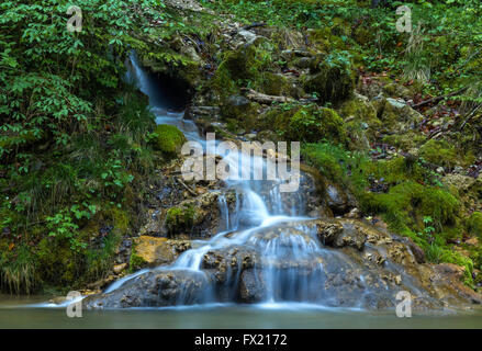 Geotope Eistobel gorge, dans l'Allgäu, Allemagne Banque D'Images