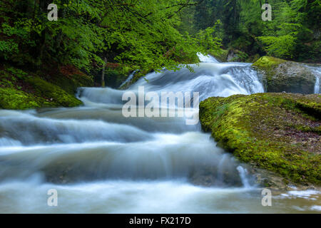 Geotope Eistobel gorge, dans l'Allgäu, Allemagne Banque D'Images