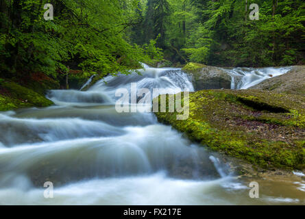 Geotope Eistobel gorge, dans l'Allgäu, Allemagne Banque D'Images