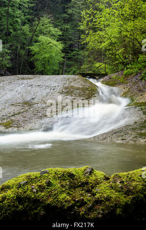 Geotope Eistobel gorge, dans l'Allgäu, Allemagne Banque D'Images