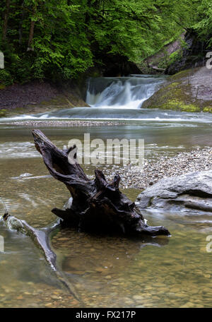 Geotope Eistobel gorge, dans l'Allgäu, Allemagne Banque D'Images