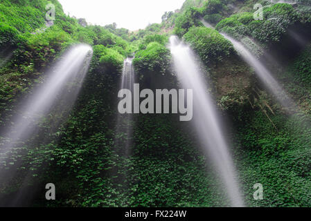 Cascade de Madakaripura, Java, Indonésie Banque D'Images