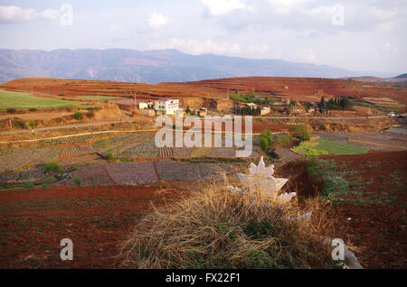 DongShuan, paysages, champs en rouge et tombeau traditionnel, Yunnan, Chine, Asie Banque D'Images