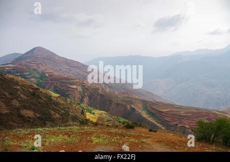 Plateau d'Dongshuan Sud, Yunnan, Chine, Asie Banque D'Images