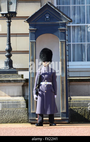 Buckingham Palace est la résidence de Londres et principal lieu de travail du monarque régnant du Royaume-Uni. Poste de guet et de garde Banque D'Images