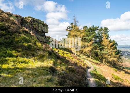 Éperon rocheux et patch de forêt sur une colline à Ilkley Moor, West Yorkshire, Royaume-Uni. Banque D'Images