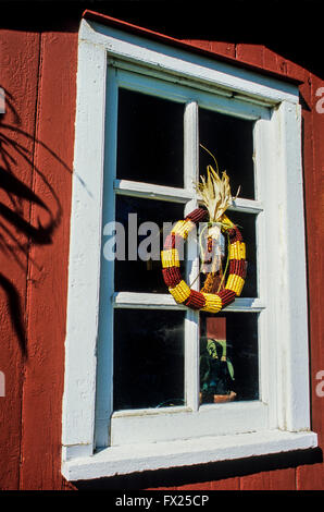 Décoration de fenêtre d'automne de couronne de maïs indien coloré sur un jardin en bois rouge hangar fenêtre de pt, New Jersey, USA, Amérique, couronne d'Halloween Banque D'Images