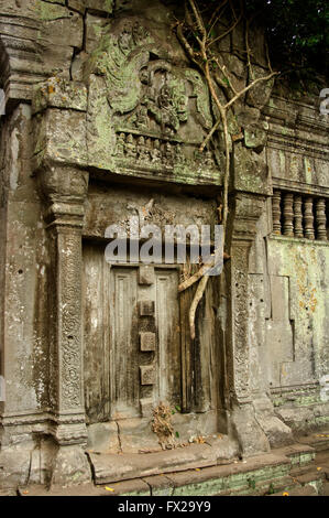 Ruines du temple Beng Mealea envahi par les racines et les arbres, Angkor, Siem Reap, Cambodge, Site du patrimoine mondial de l'UNESCO Banque D'Images